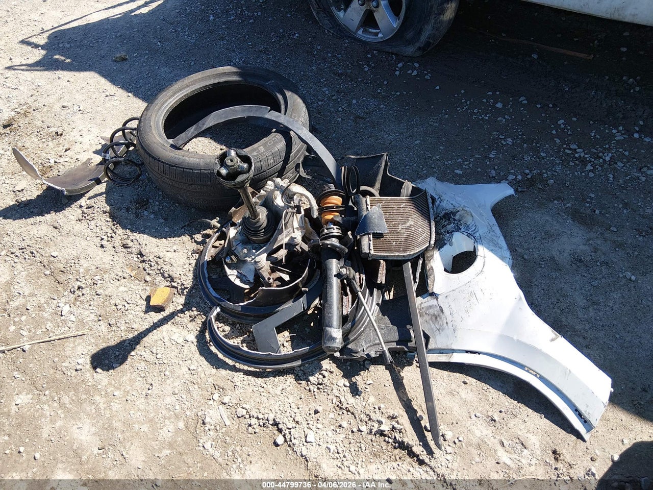 Image 12