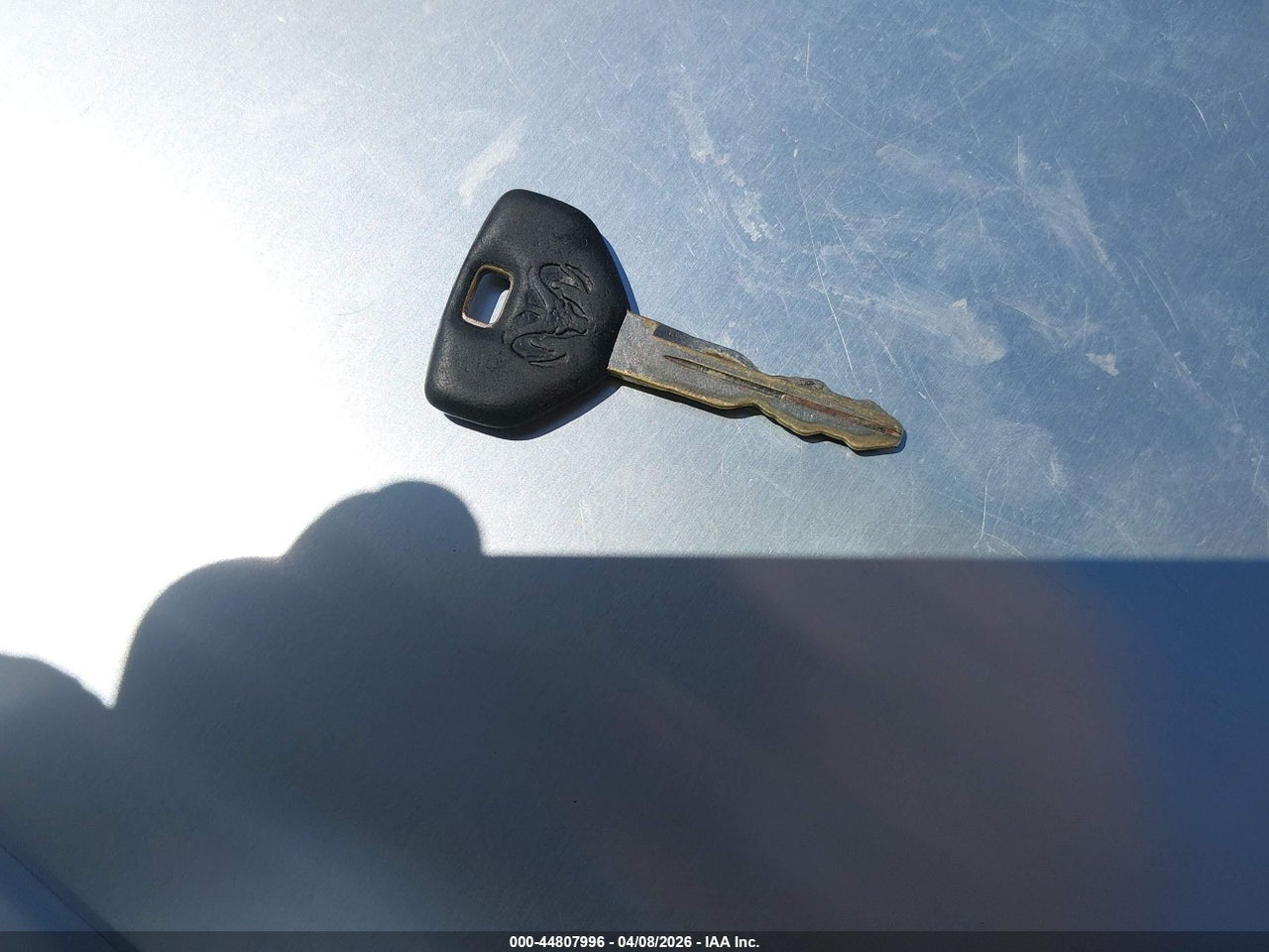 Image 11