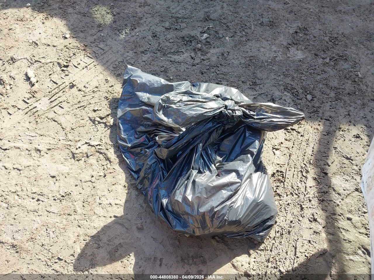 Image 12