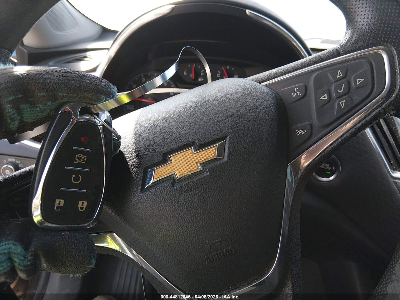 Image 11