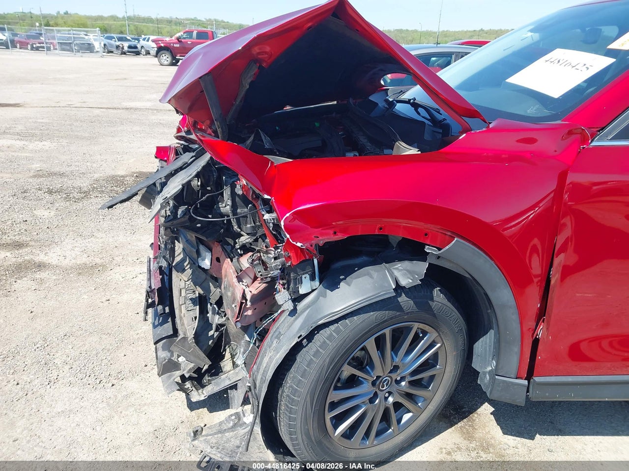 Image 10