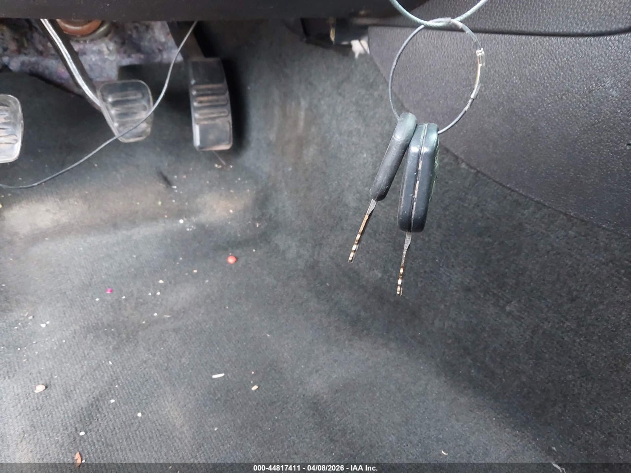 Image 11