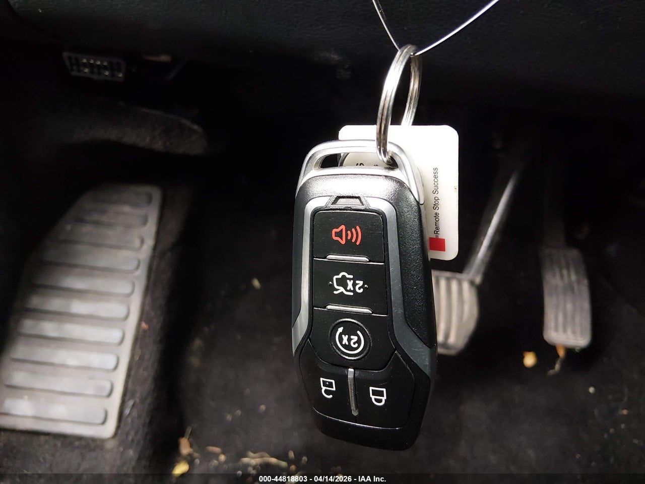 Image 11