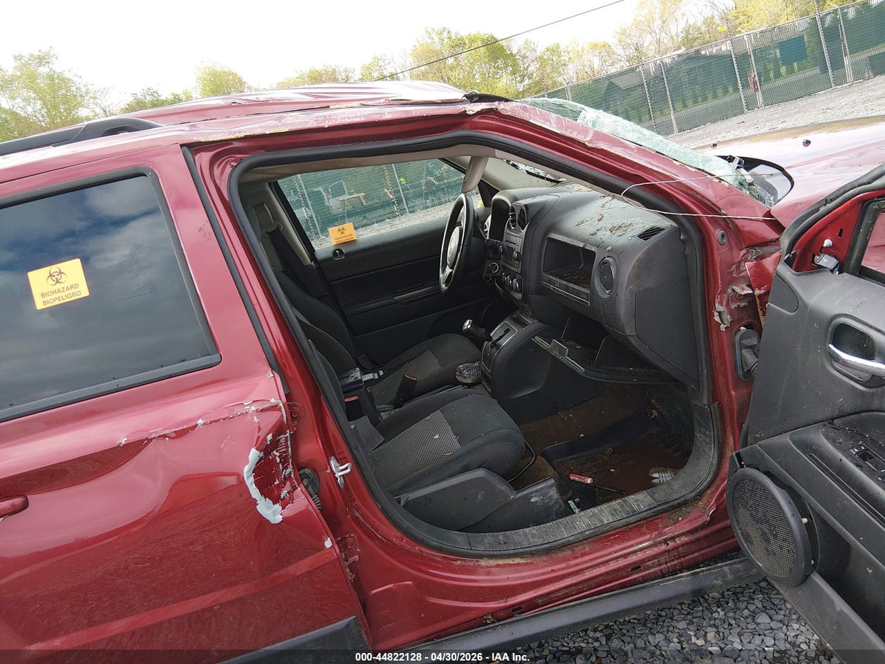 Image 5