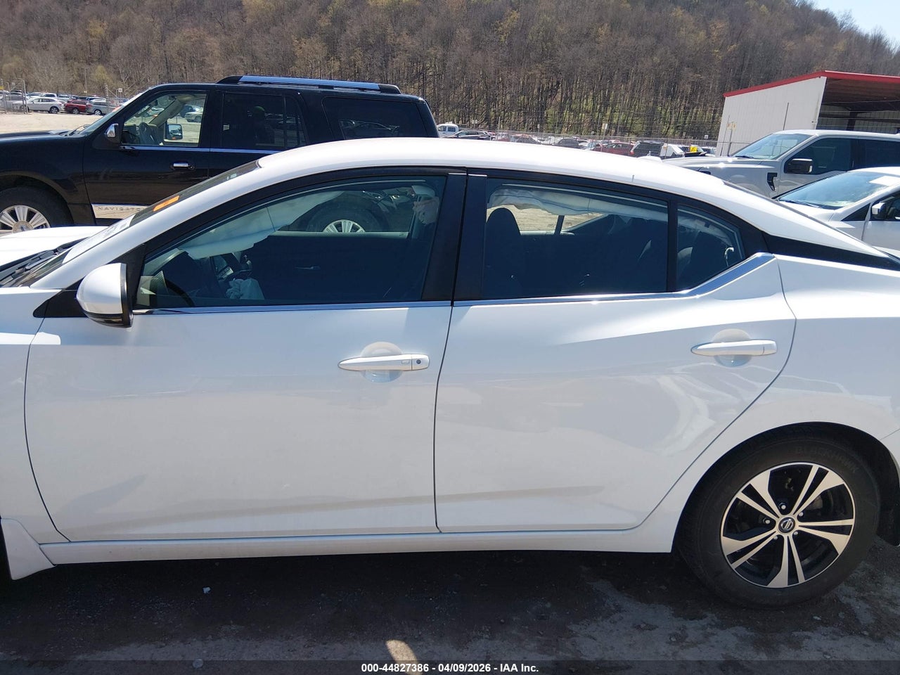 Image 15