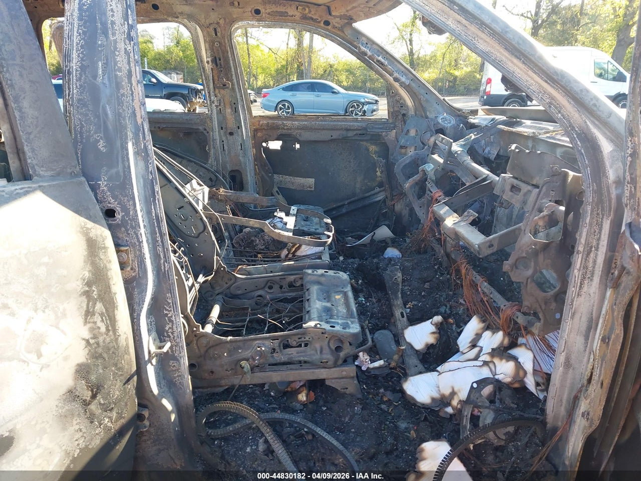 Image 5