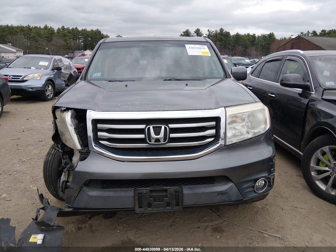 Image 13