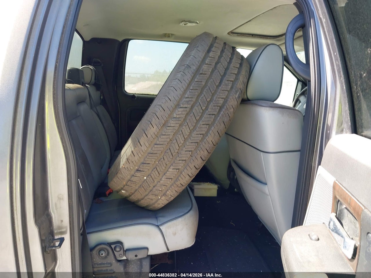 Image 8