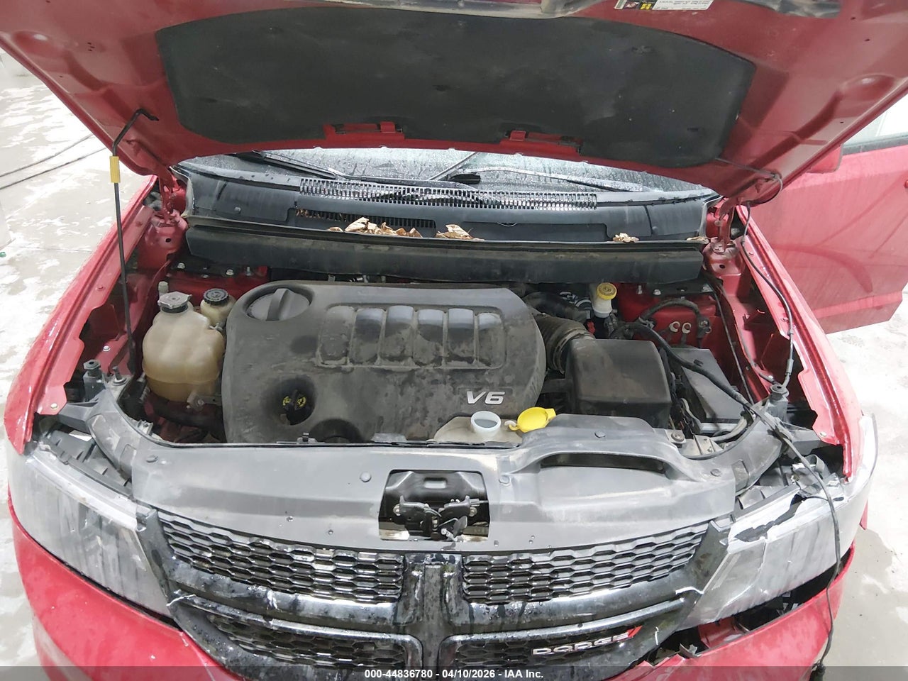 Image 10