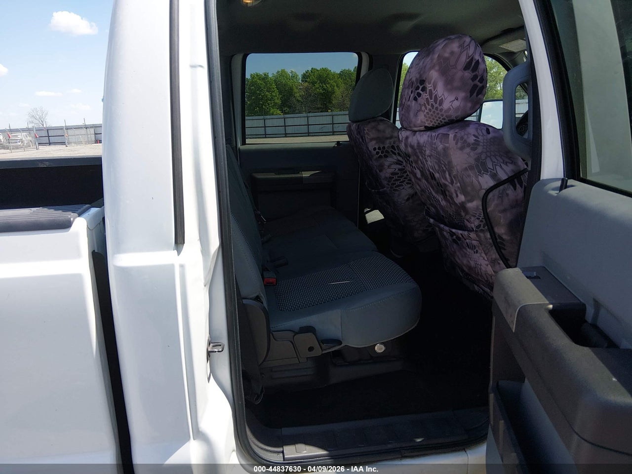 Image 8