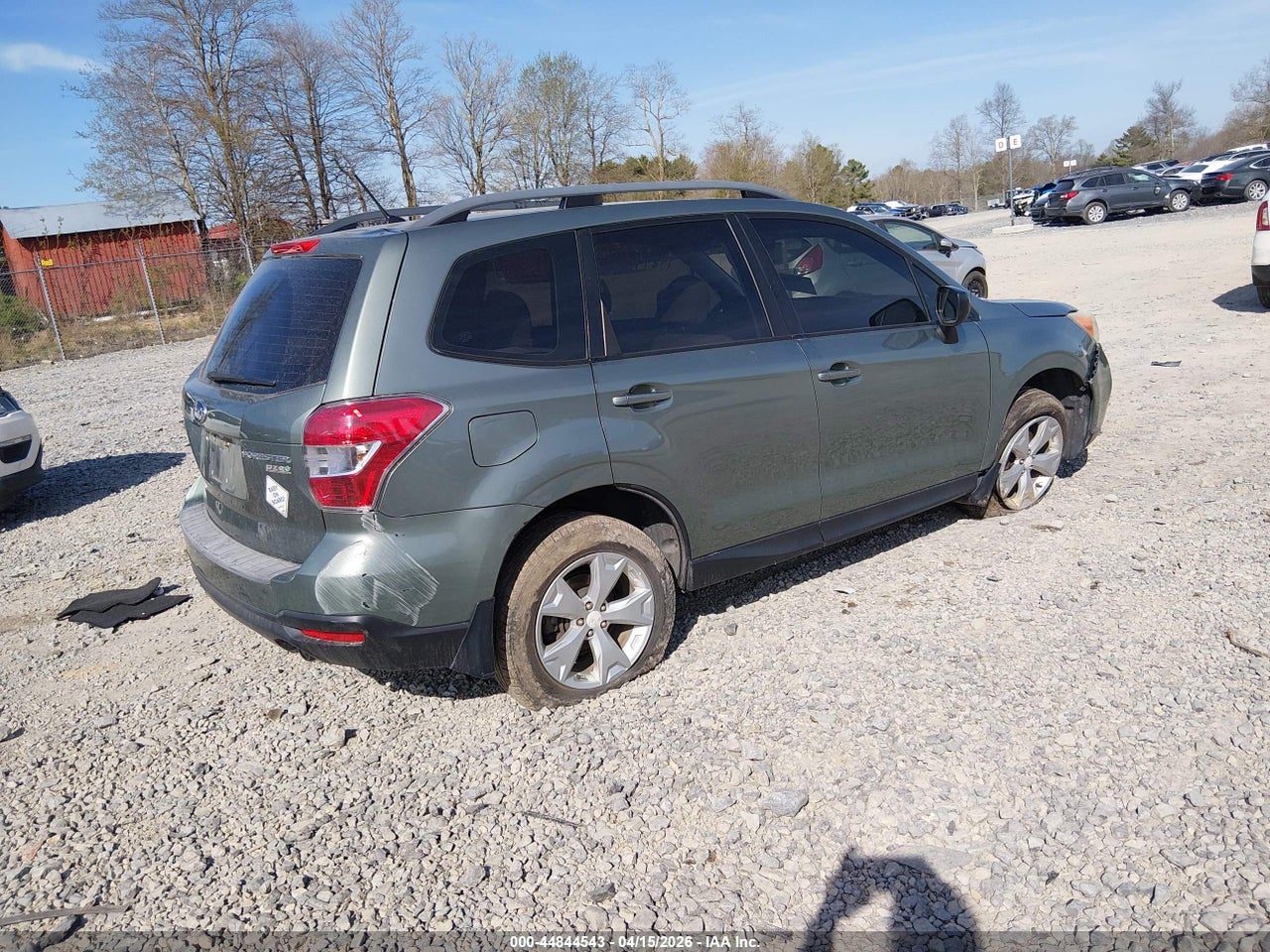 Image 4