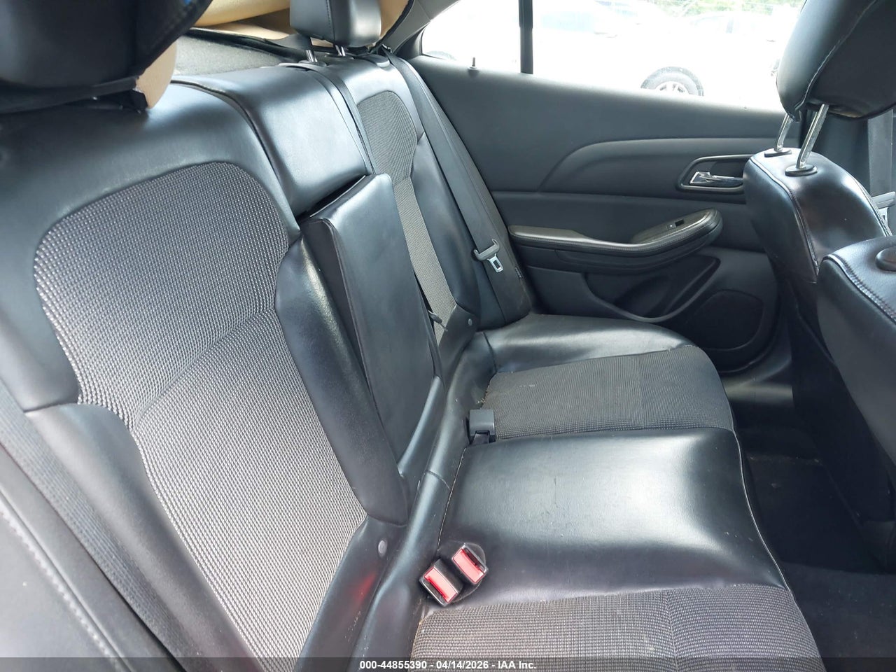 Image 8