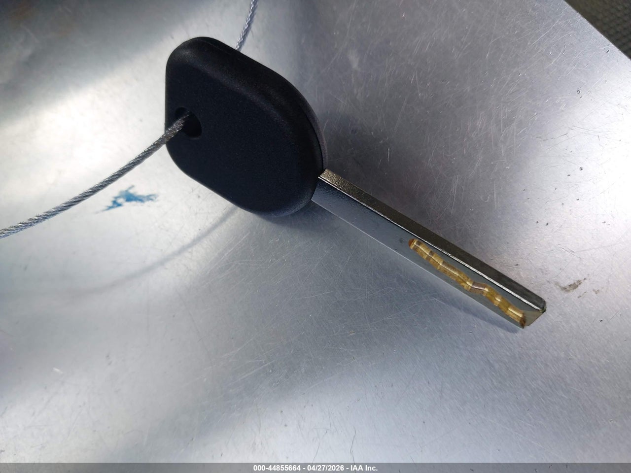 Image 11