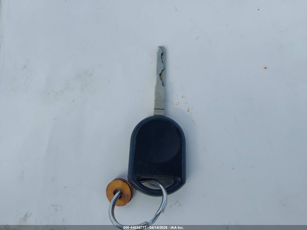 Image 11