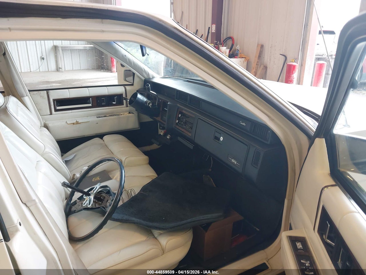 Image 5