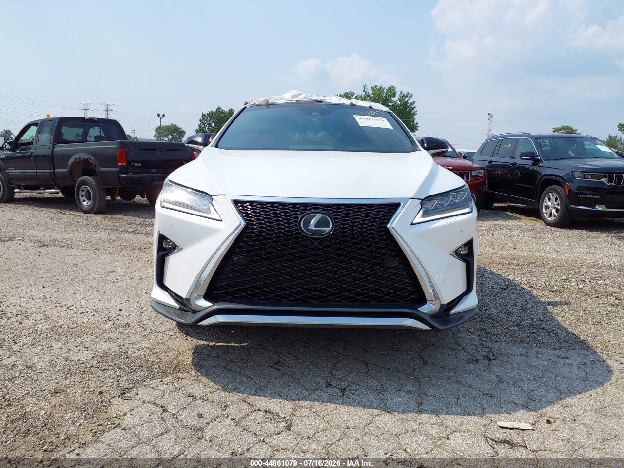 Image 12