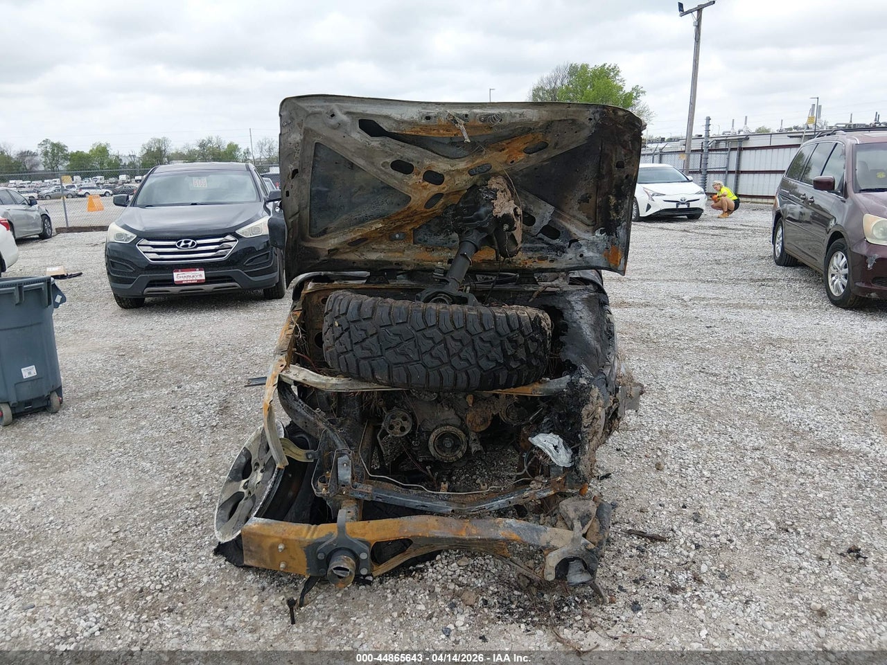 Image 11