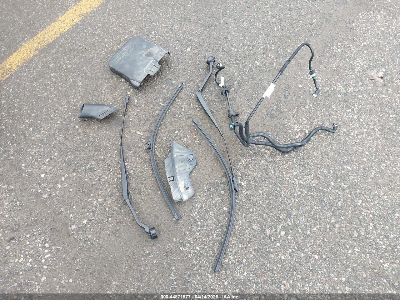 Image 12