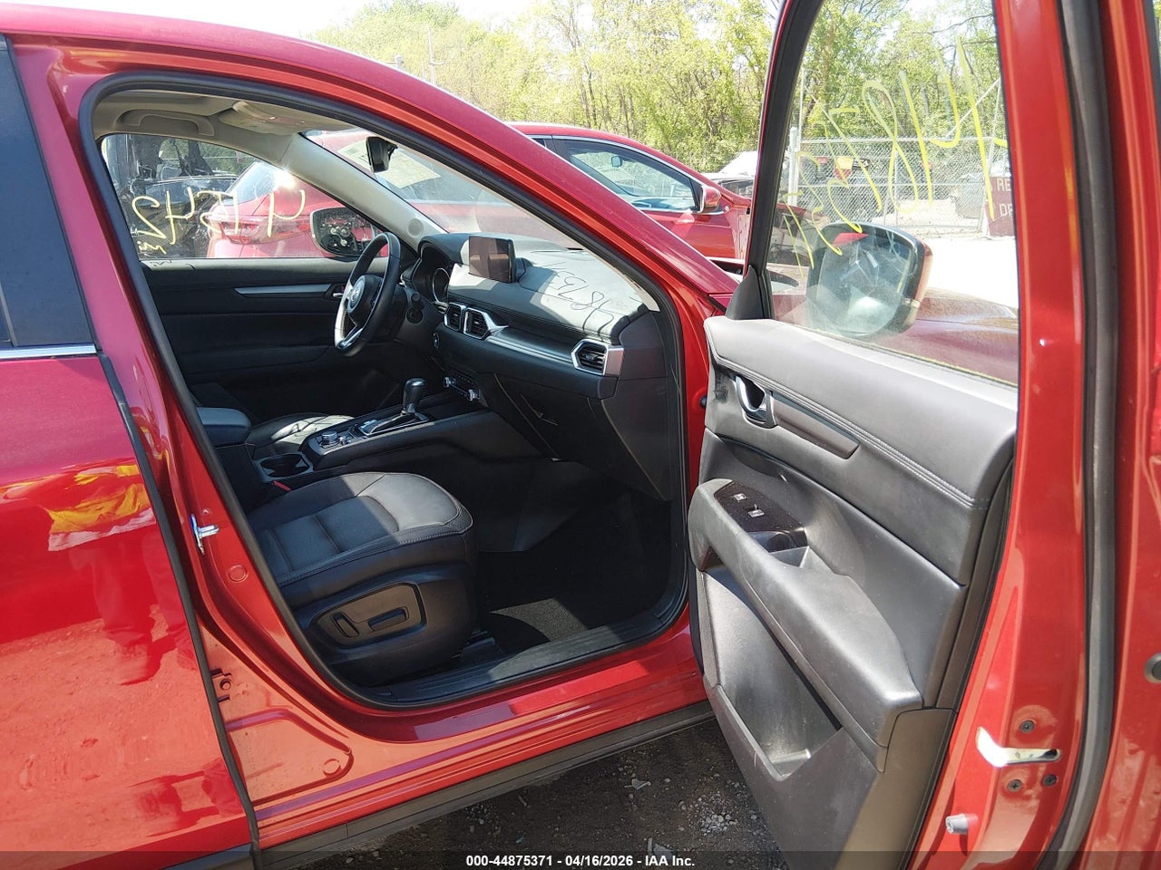 Image 5