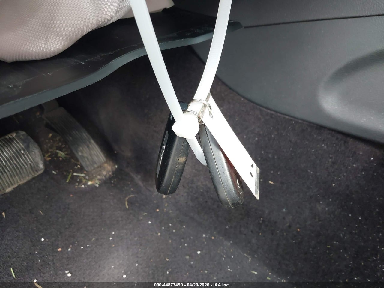 Image 11