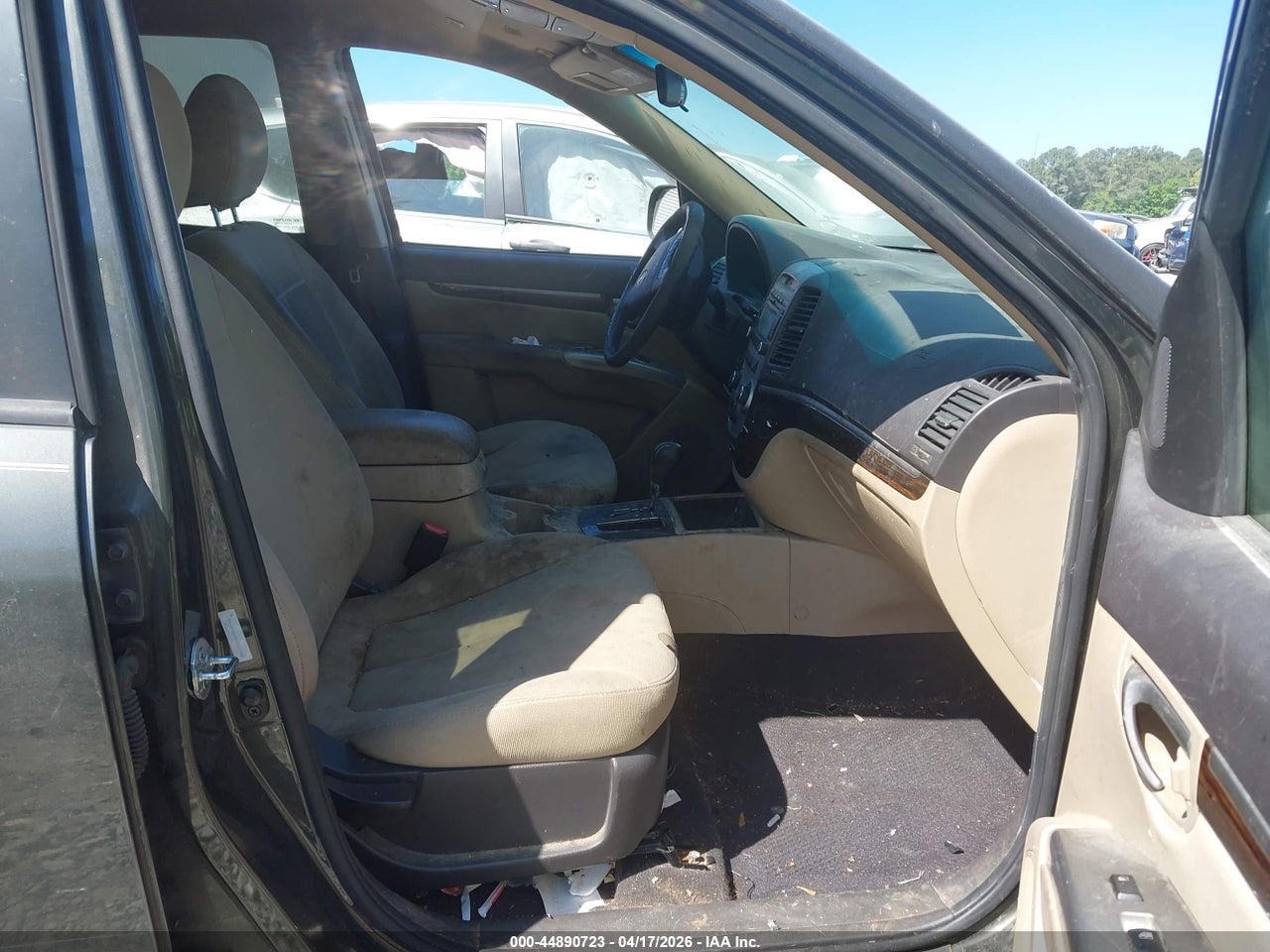 Image 5