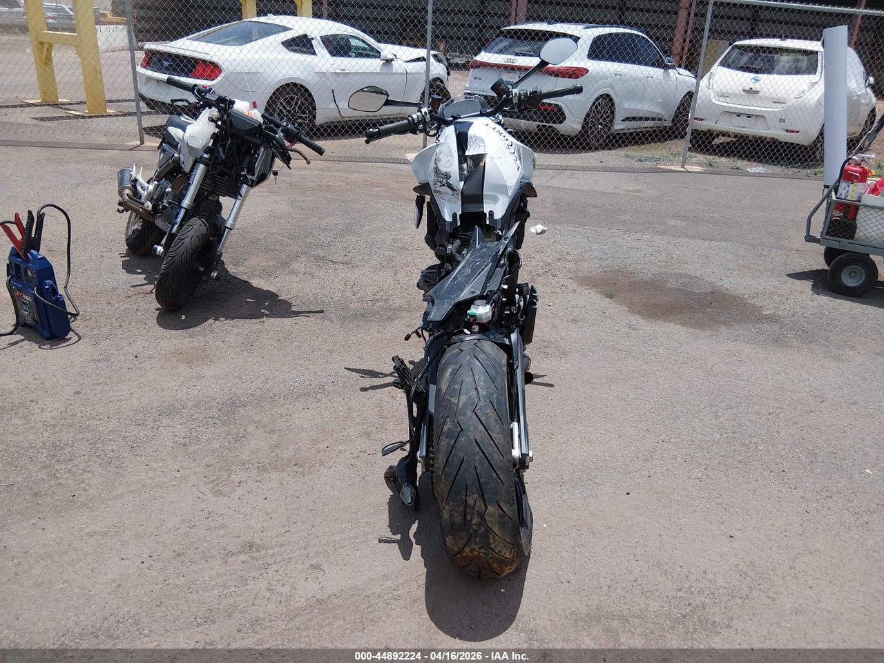 2025 DUCATI MONSTER   · 6/12
