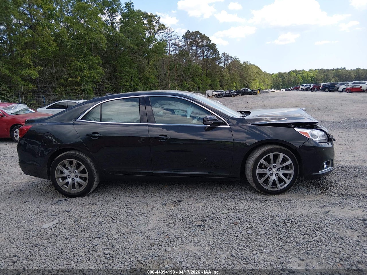 Image 13