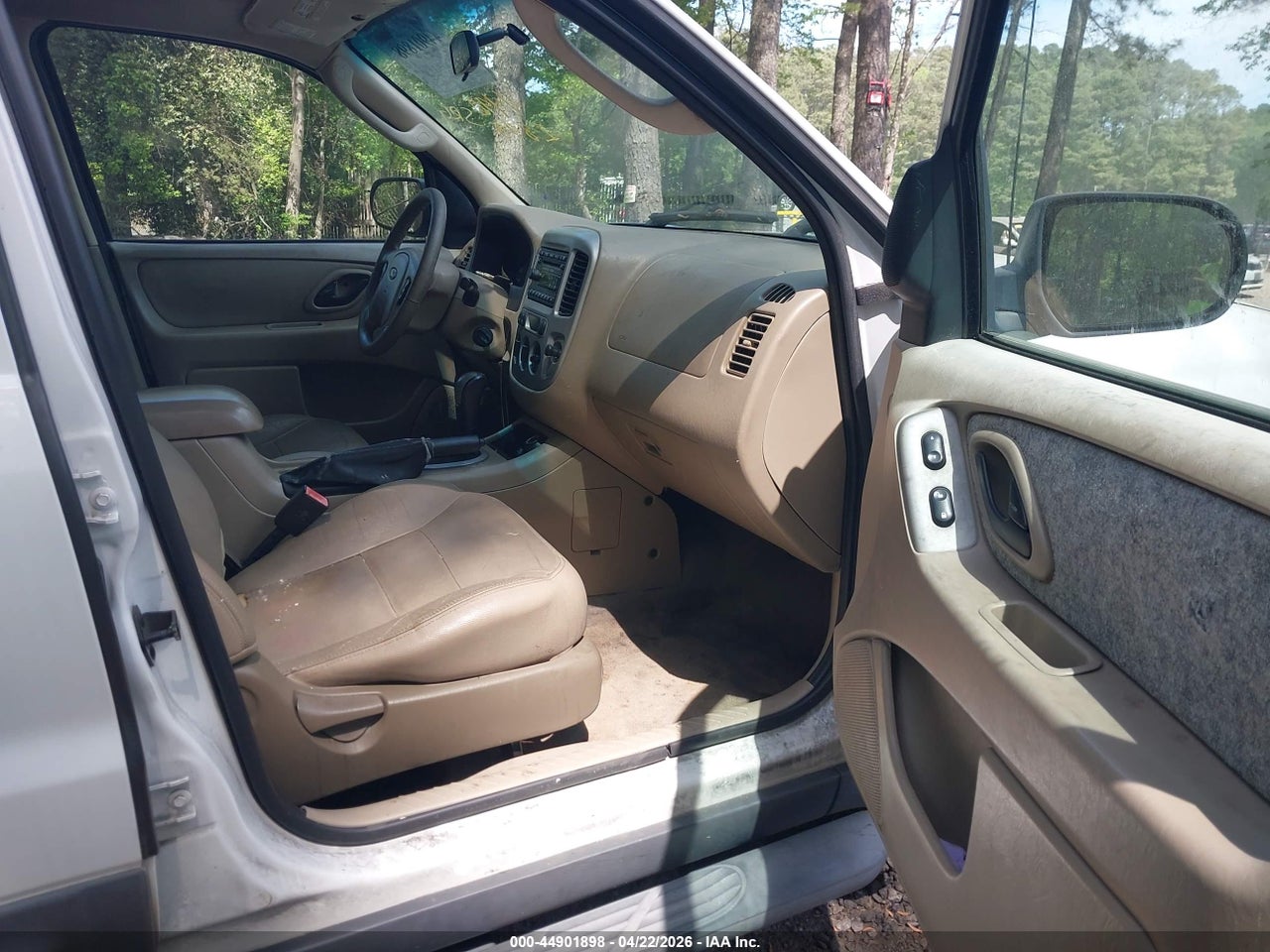 Image 5