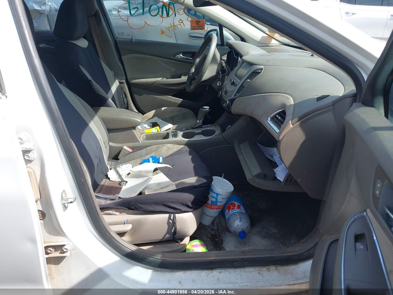 Image 5