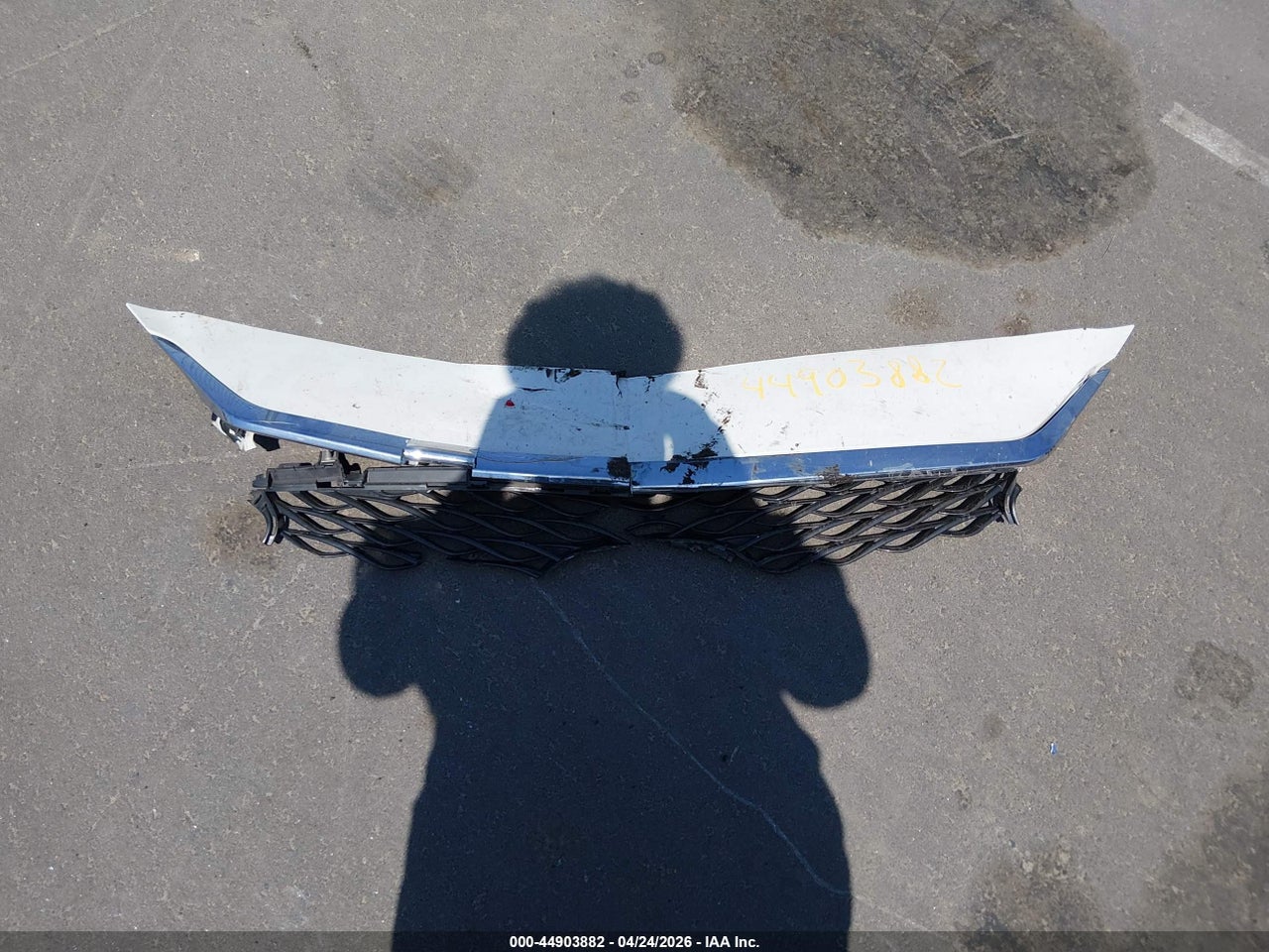 Image 12