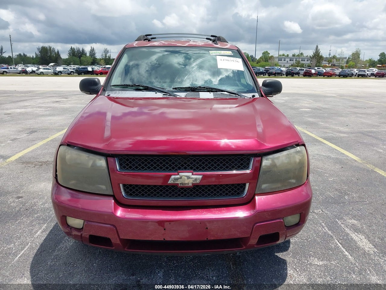 Image 6