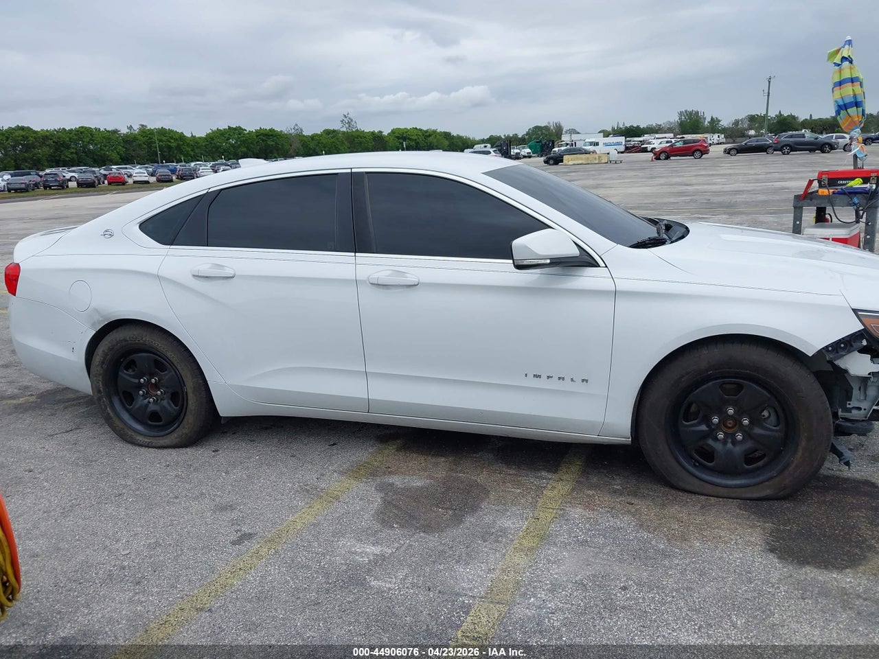 Image 13