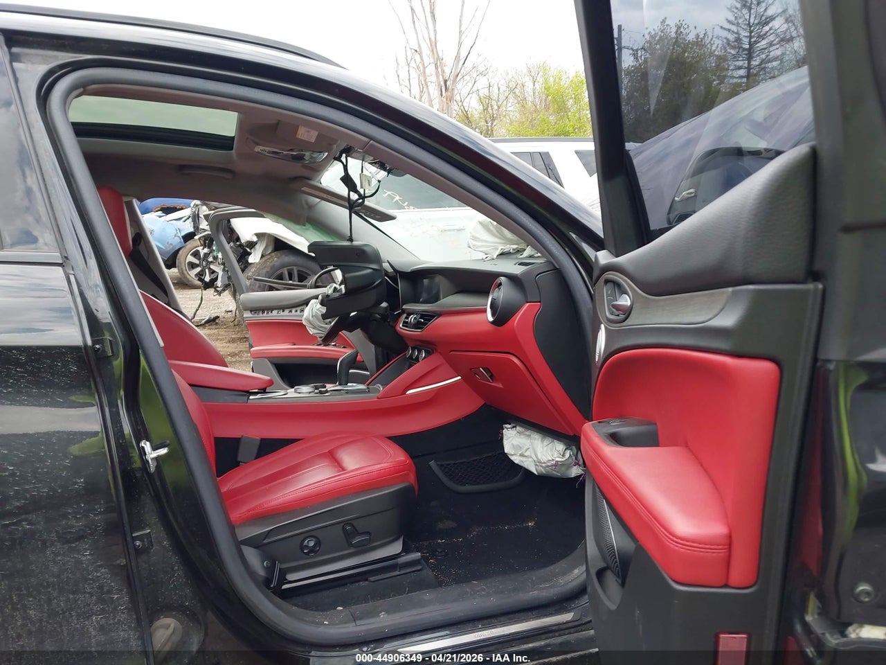 Image 5
