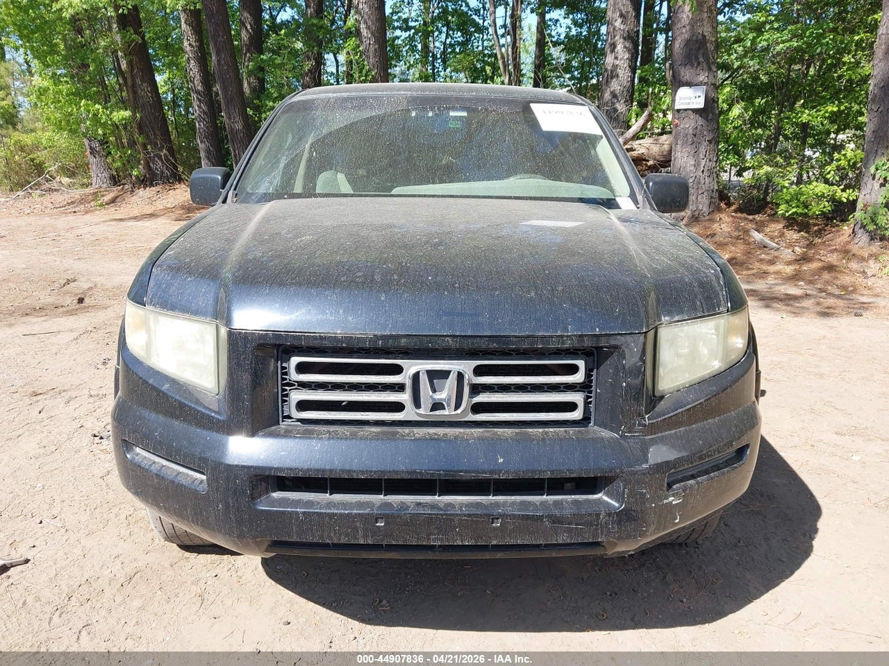 Image 12