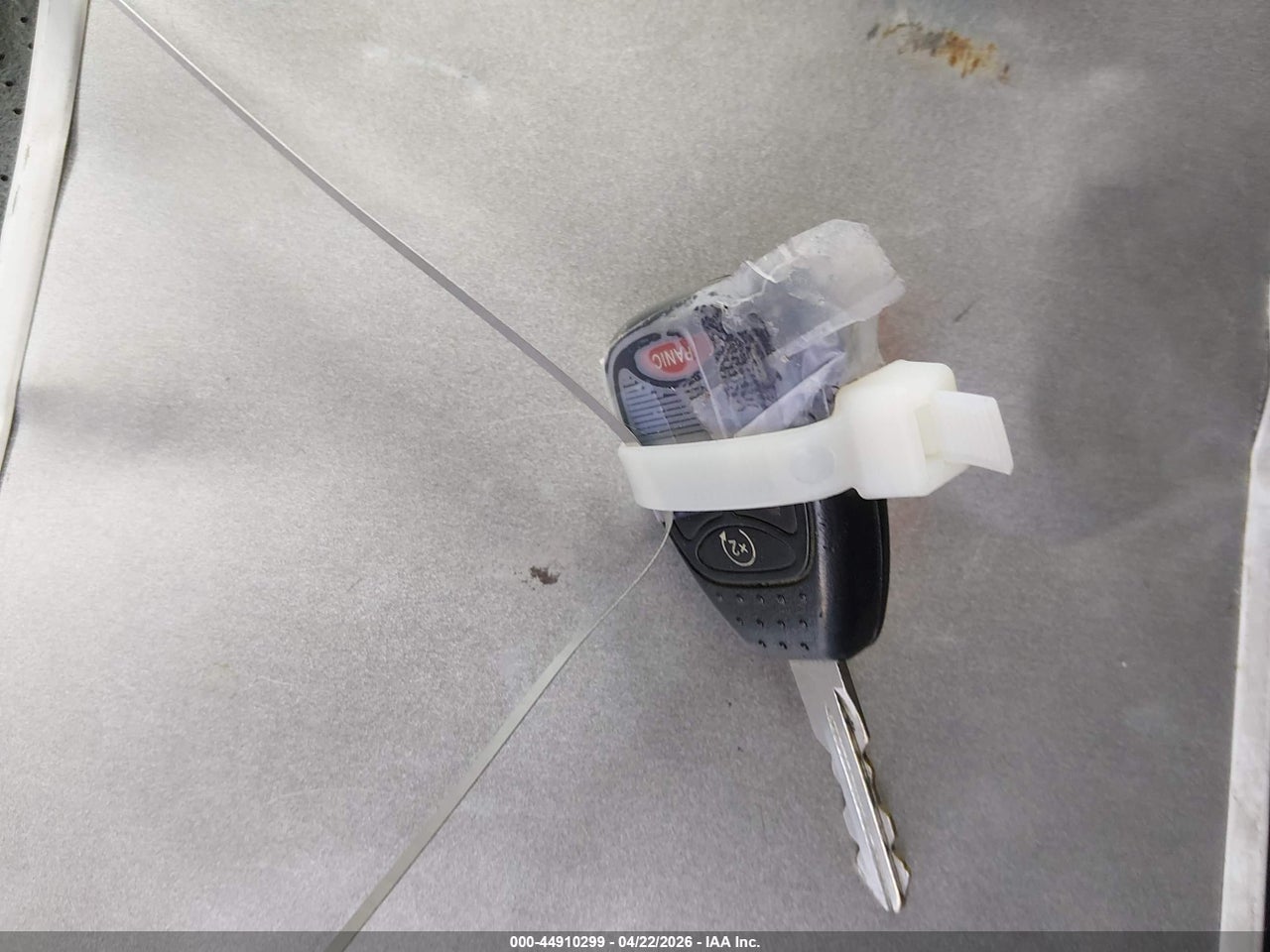 Image 11