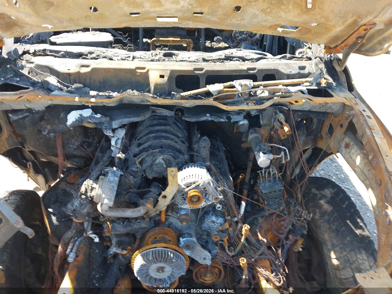 Image 10