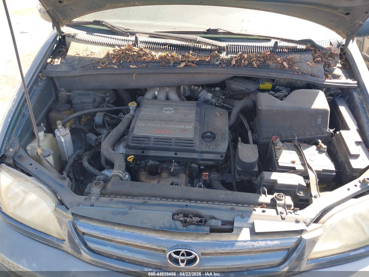 Image 10