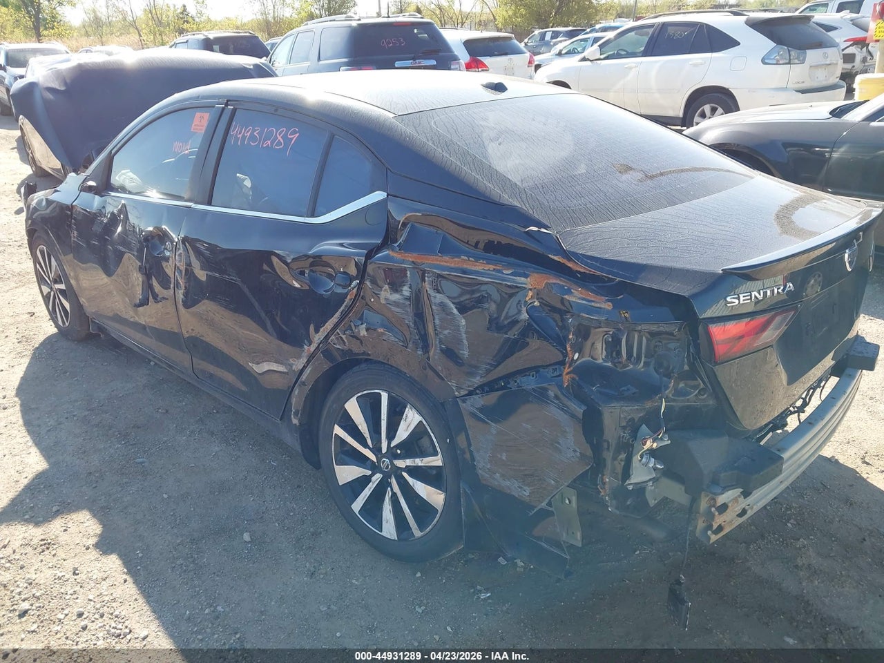 Image 19