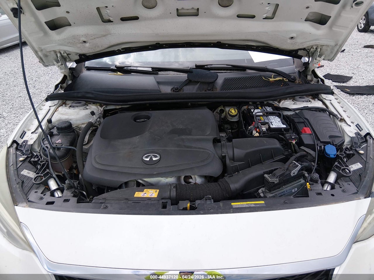 Image 10