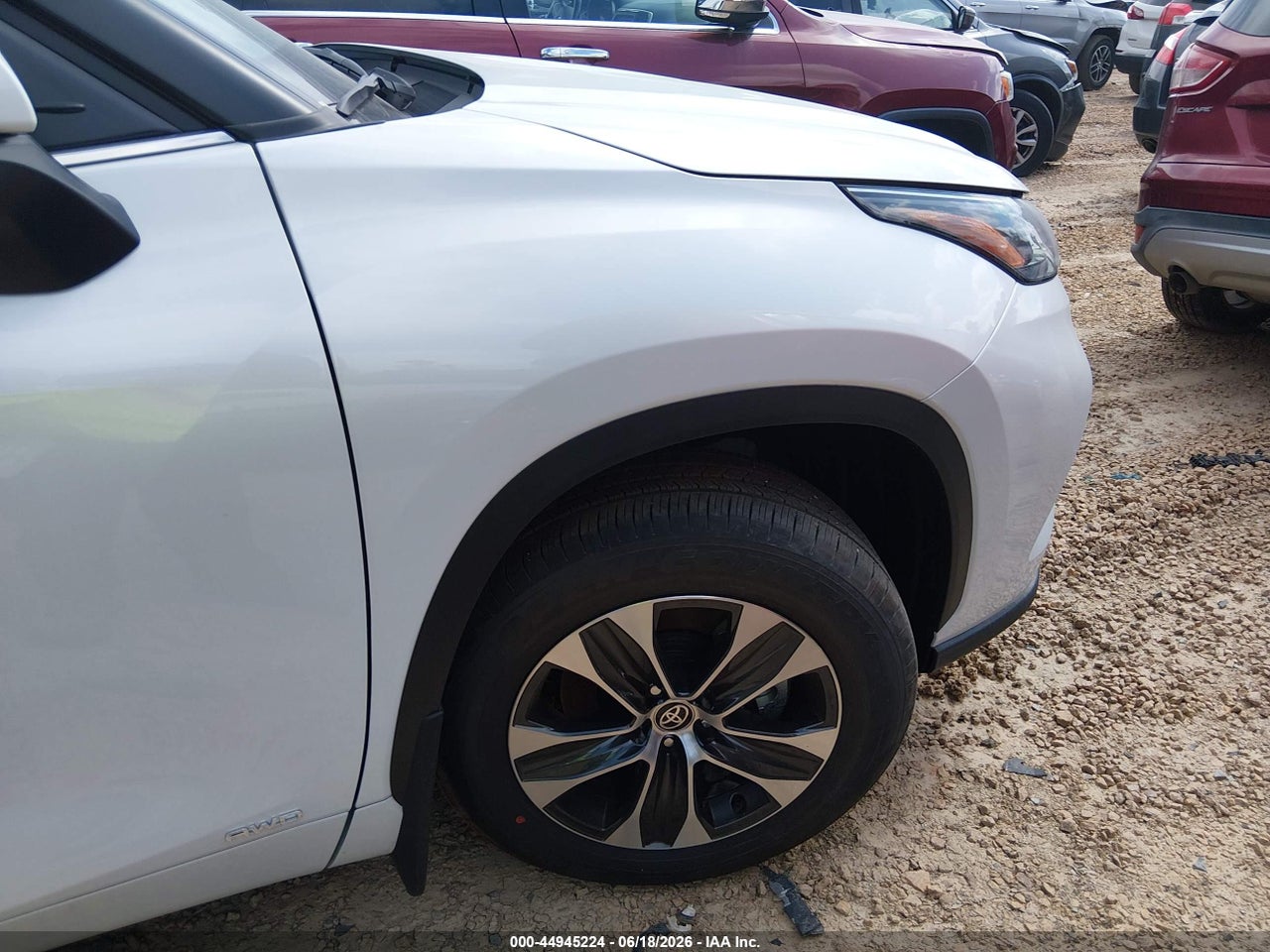 Image 19