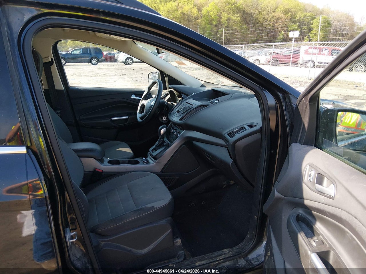 Image 5