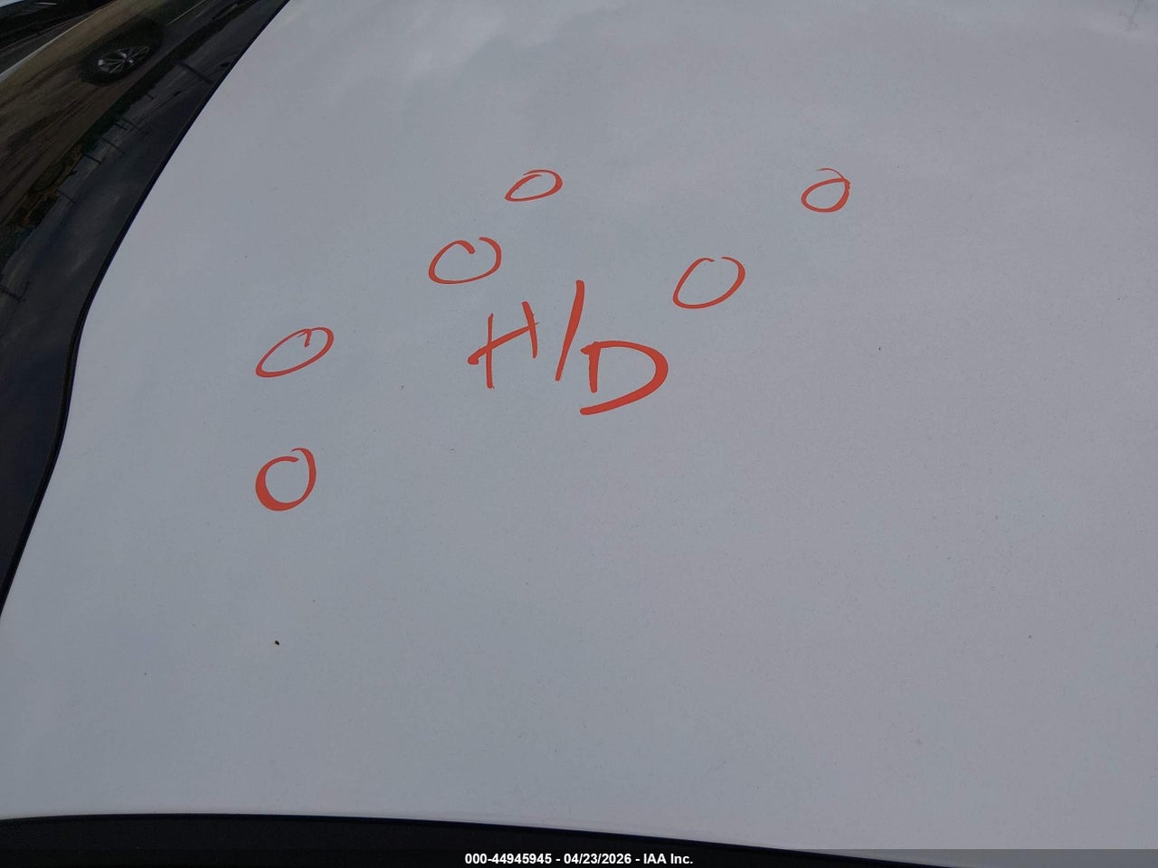 Image 17