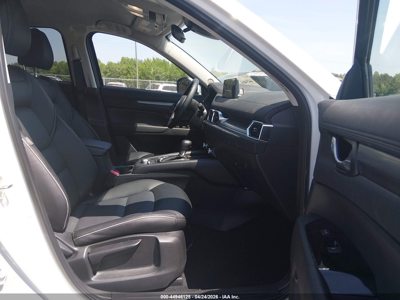 Image 5