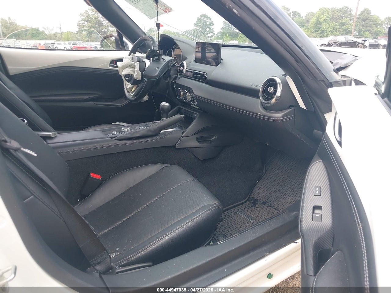 Image 5