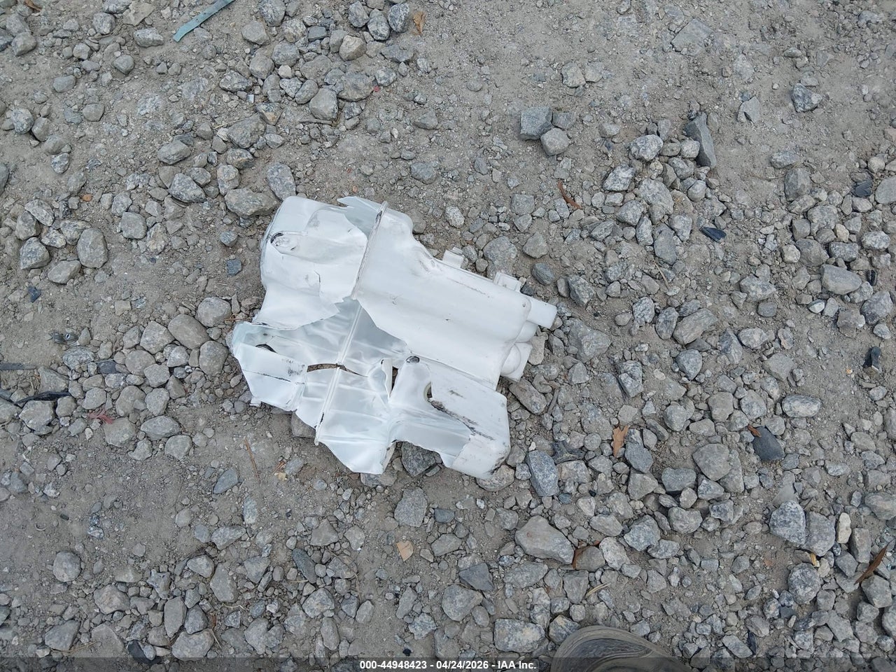 Image 12