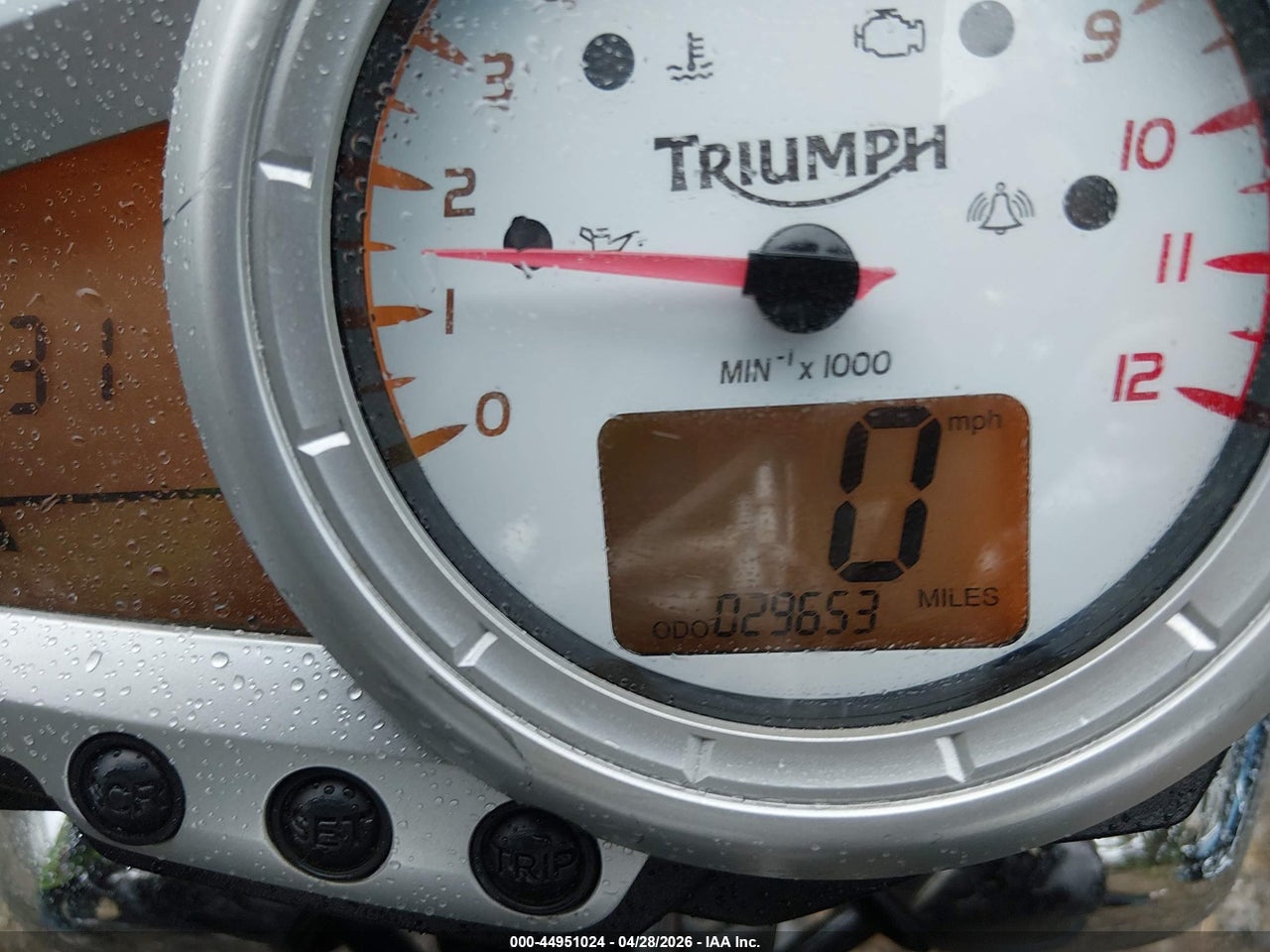 2009 TRIUMPH MOTORCYCLE SPEED TRIPLE thumbnail 8