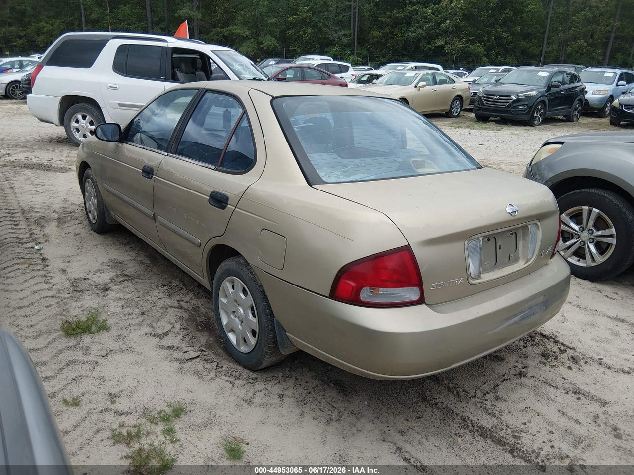 Image 3