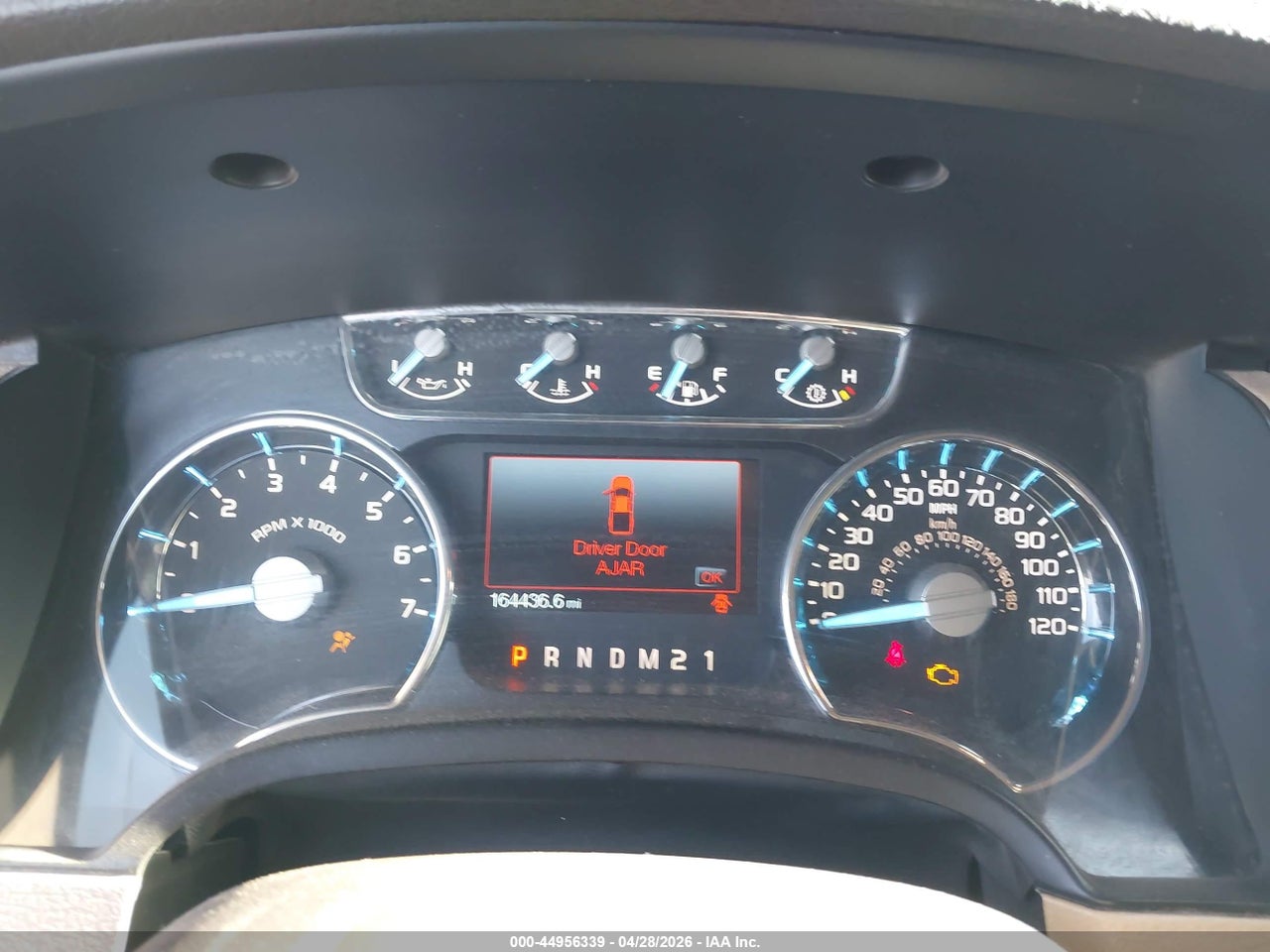 Image 7