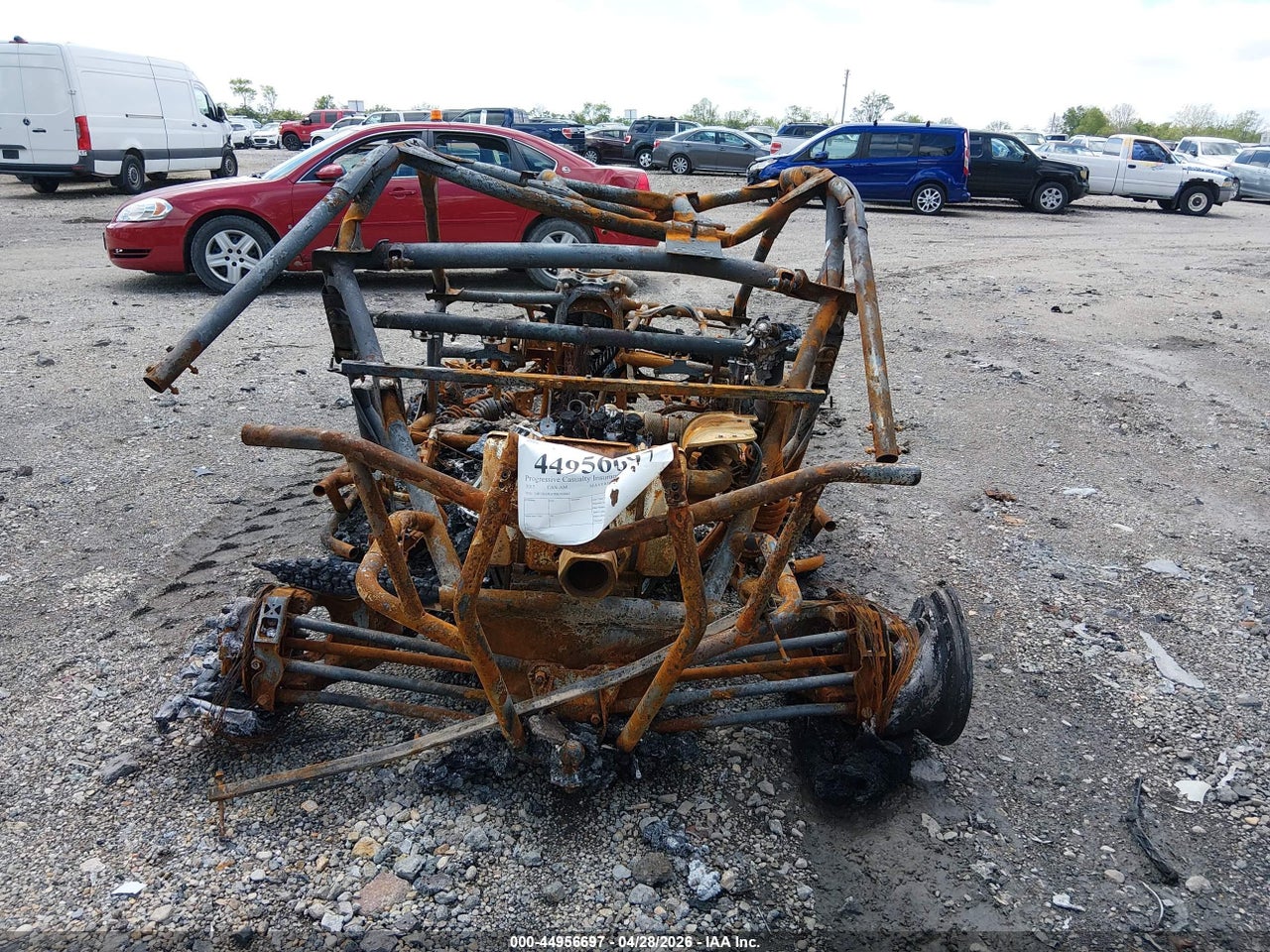 Image 6