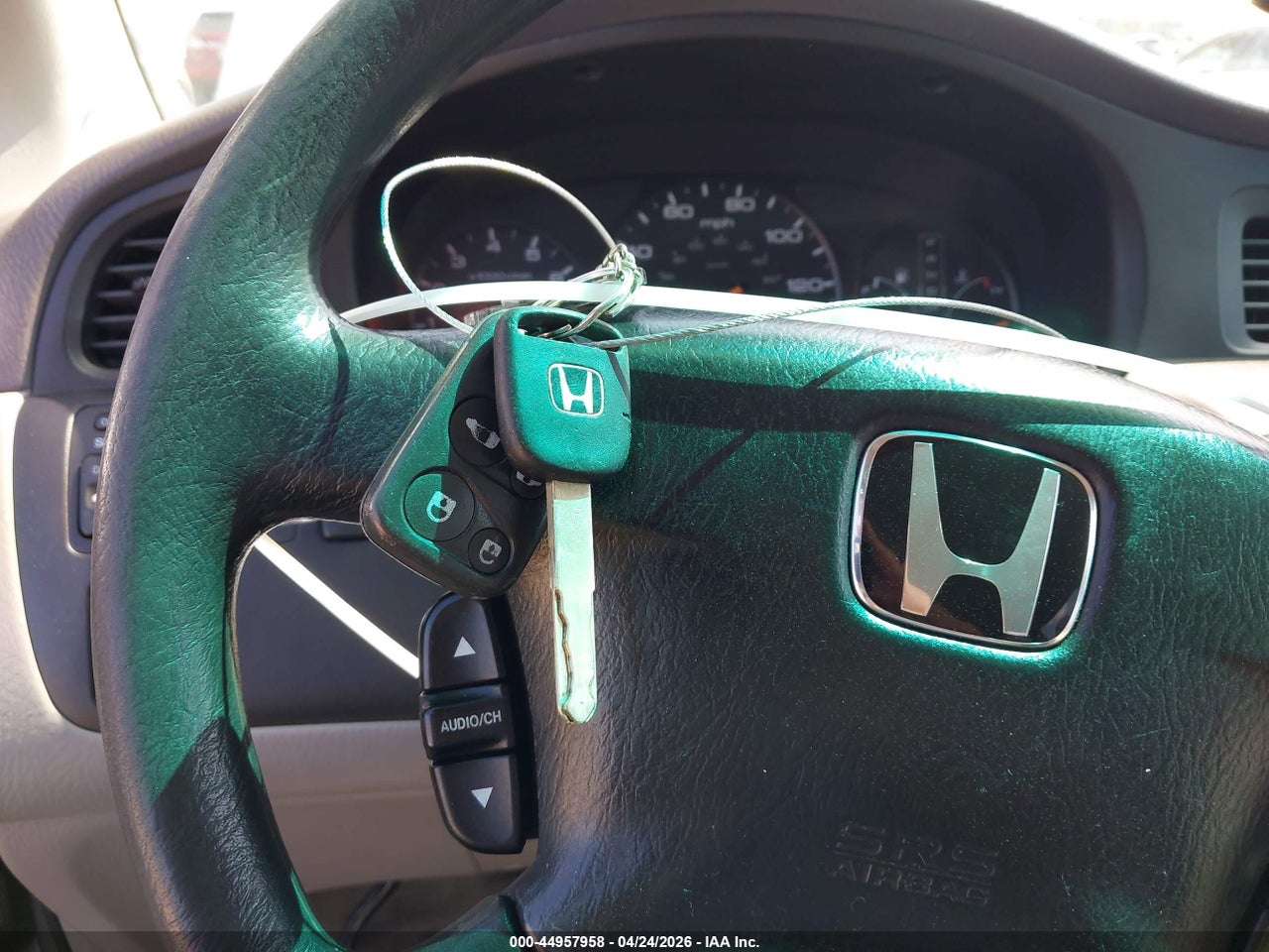 Image 11